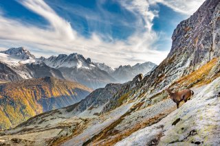 parc-naturel-vallee-du-trient (2)